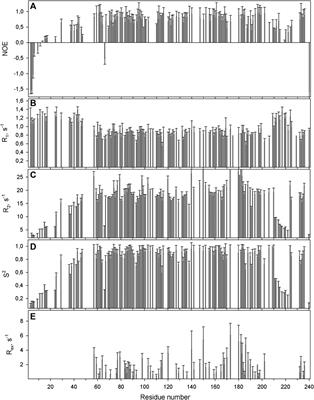 Williams-Beuren Syndrome Related Methyltransferase WBSCR27: From Structure to Possible Function